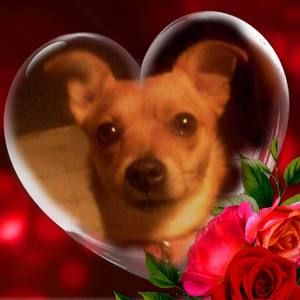 Meet your Posher, Anita